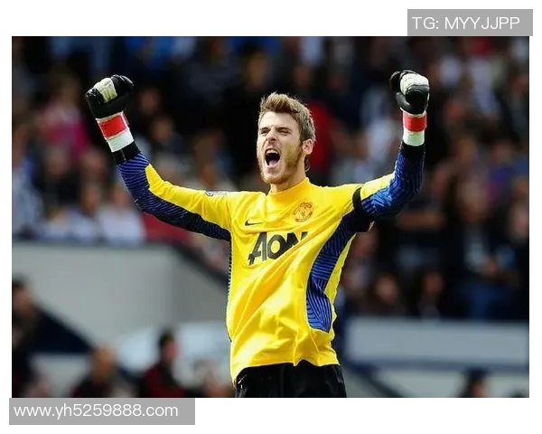 德赫亚:从青涩小将到足球明星的传奇旅程与辉煌成就