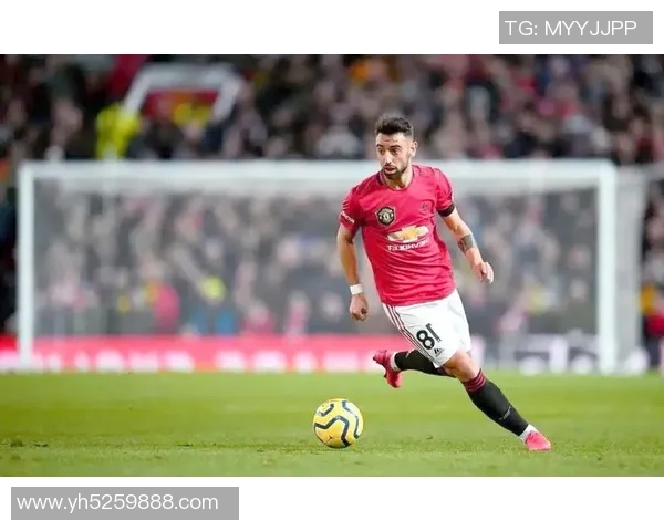 广州排球队总决赛特别报道：从默默无闻到辉煌巅峰的奋斗历程