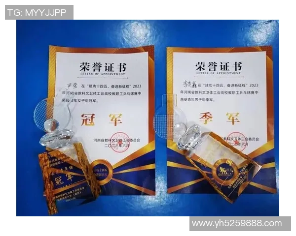 杭州乒乓球队精英赛团队协作表现分析与评价探讨