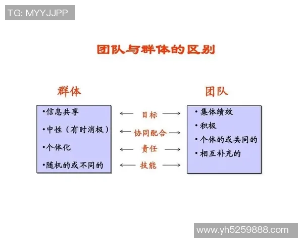 广州乒乓球队个人能力提升之路与团队协作的完美结合探讨
