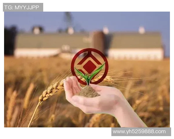 足球明星市场价值评估方法研究与实证分析